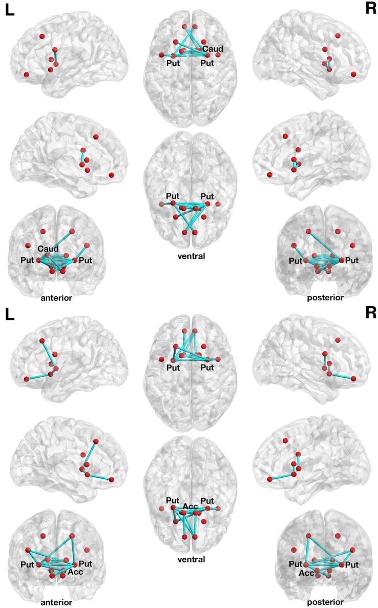 https://cdn.ncbi.nlm.nih.gov/pmc/blobs/1b2b/5214688/aa057ff308fa/fnagi-08-00307-g0002.jpg