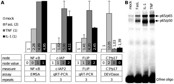 https://cdn.ncbi.nlm.nih.gov/pmc/blobs/1b2d/2781112/3c536952a8db/pcbi.1000595.g003.jpg