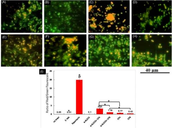 https://cdn.ncbi.nlm.nih.gov/pmc/blobs/1b2e/10509742/74b2a7a0f20d/bi-13-393-g001.jpg