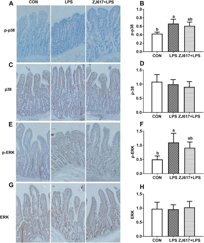 https://cdn.ncbi.nlm.nih.gov/pmc/blobs/1b2e/8513206/111b2e97f44c/40104_2021_624_Fig4_HTML.jpg