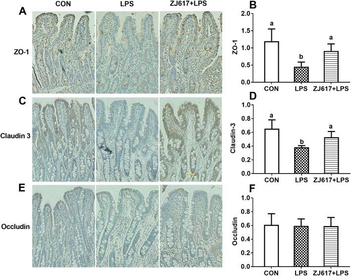https://cdn.ncbi.nlm.nih.gov/pmc/blobs/1b2e/8513206/282e574694c9/40104_2021_624_Fig6_HTML.jpg