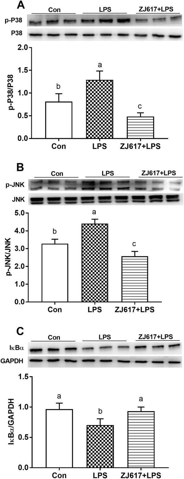 https://cdn.ncbi.nlm.nih.gov/pmc/blobs/1b2e/8513206/85f015f25f4e/40104_2021_624_Fig3_HTML.jpg