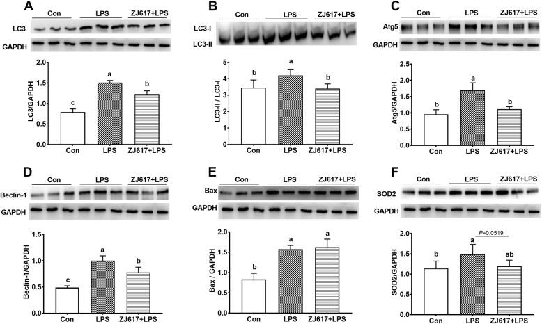 https://cdn.ncbi.nlm.nih.gov/pmc/blobs/1b2e/8513206/be7148ae0037/40104_2021_624_Fig7_HTML.jpg