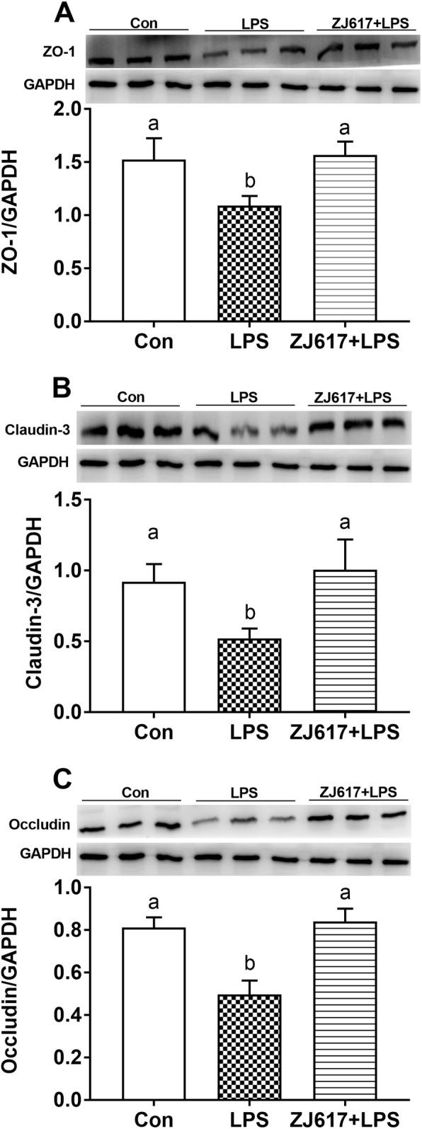 https://cdn.ncbi.nlm.nih.gov/pmc/blobs/1b2e/8513206/dbdab931f3df/40104_2021_624_Fig5_HTML.jpg