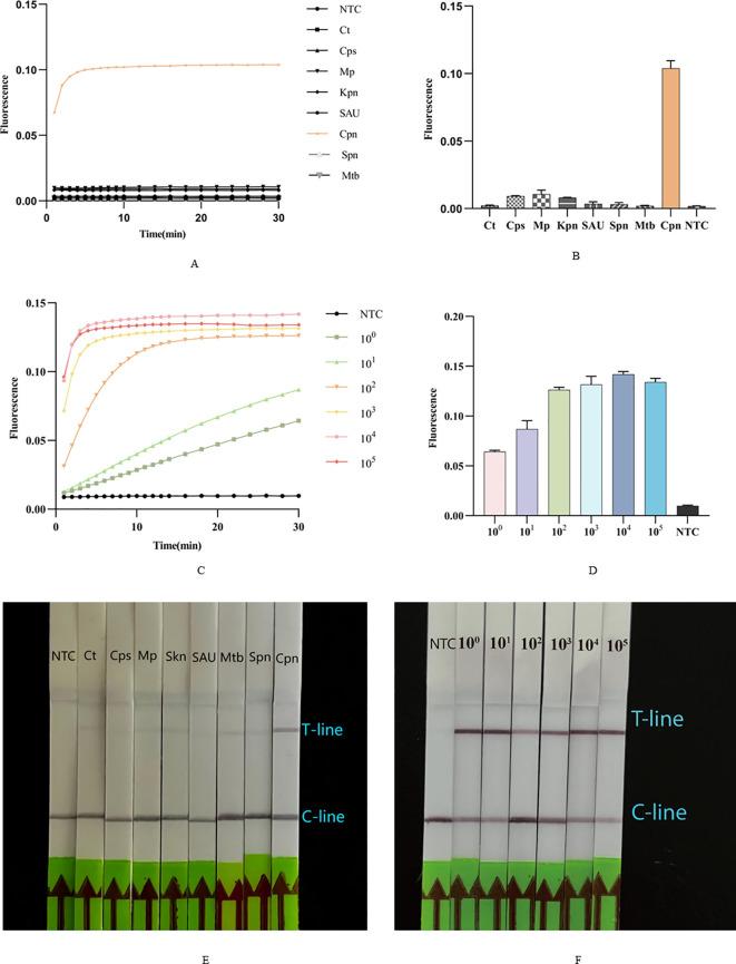https://cdn.ncbi.nlm.nih.gov/pmc/blobs/1b2f/11564186/61708caed565/fcimb-14-1477422-g005.jpg