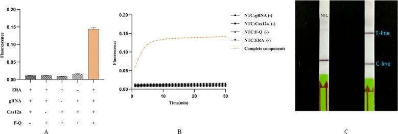 https://cdn.ncbi.nlm.nih.gov/pmc/blobs/1b2f/11564186/b4f5448cad91/fcimb-14-1477422-g002.jpg