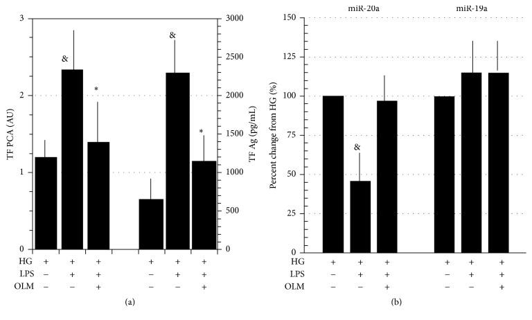 https://cdn.ncbi.nlm.nih.gov/pmc/blobs/1b2f/5682915/3de5801c930f/THROMBOSIS2017-1076397.003.jpg