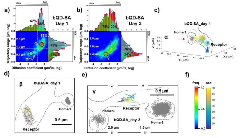 https://cdn.ncbi.nlm.nih.gov/pmc/blobs/1b30/5779237/77a5a1b37617/elife-27744-fig3.jpg