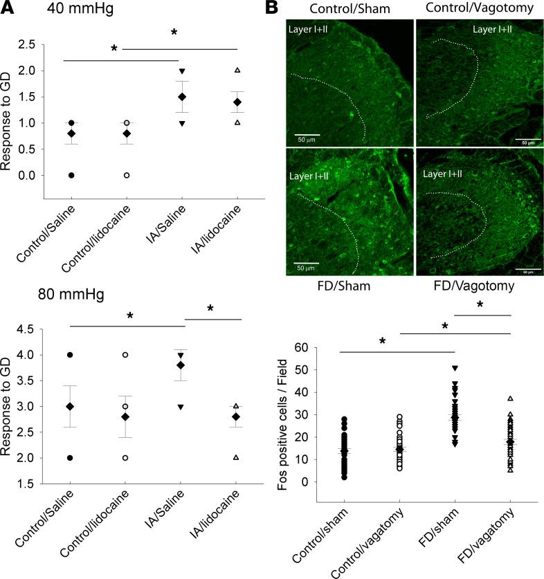 https://cdn.ncbi.nlm.nih.gov/pmc/blobs/1b30/8026195/42a2a2d13526/jciinsight-6-144046-g003.jpg