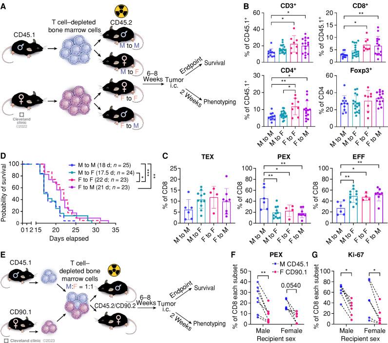 https://cdn.ncbi.nlm.nih.gov/pmc/blobs/1b31/10481130/40d55eebfabc/2090fig4.jpg