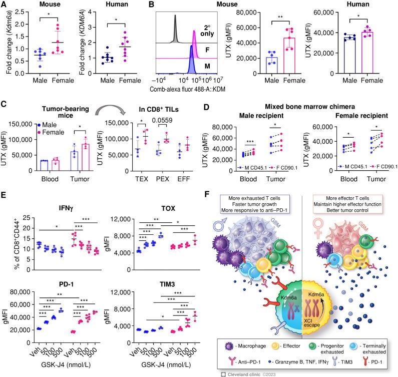 https://cdn.ncbi.nlm.nih.gov/pmc/blobs/1b31/10481130/779128e5a62b/2090fig7.jpg