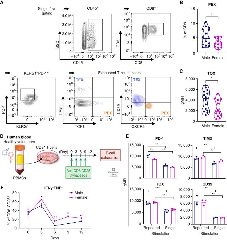 https://cdn.ncbi.nlm.nih.gov/pmc/blobs/1b31/10481130/837f2b682998/2090fig6.jpg