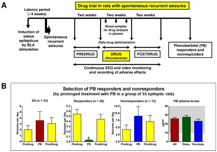 https://cdn.ncbi.nlm.nih.gov/pmc/blobs/1b36/10177106/357fb3e7e2c3/cells-12-01233-g006.jpg
