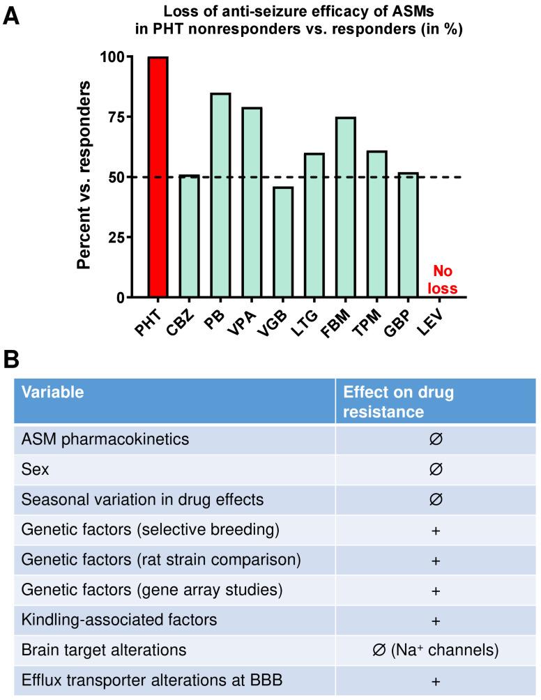 https://cdn.ncbi.nlm.nih.gov/pmc/blobs/1b36/10177106/753a9e3a97a2/cells-12-01233-g004.jpg