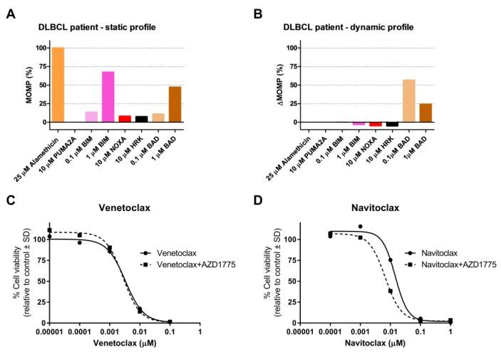 https://cdn.ncbi.nlm.nih.gov/pmc/blobs/1b36/6895818/364072e164aa/cancers-11-01743-g005.jpg