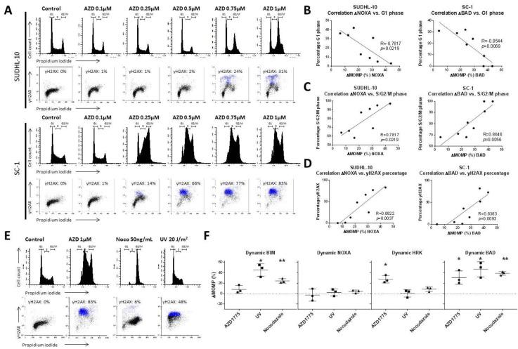 https://cdn.ncbi.nlm.nih.gov/pmc/blobs/1b36/6895818/5f9405139116/cancers-11-01743-g002.jpg