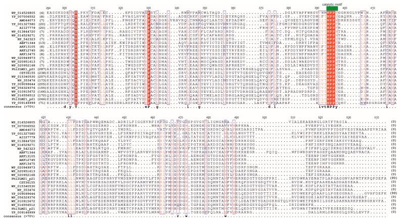https://cdn.ncbi.nlm.nih.gov/pmc/blobs/1b38/5537653/d7fe86a35577/viruses-09-00161-g003.jpg