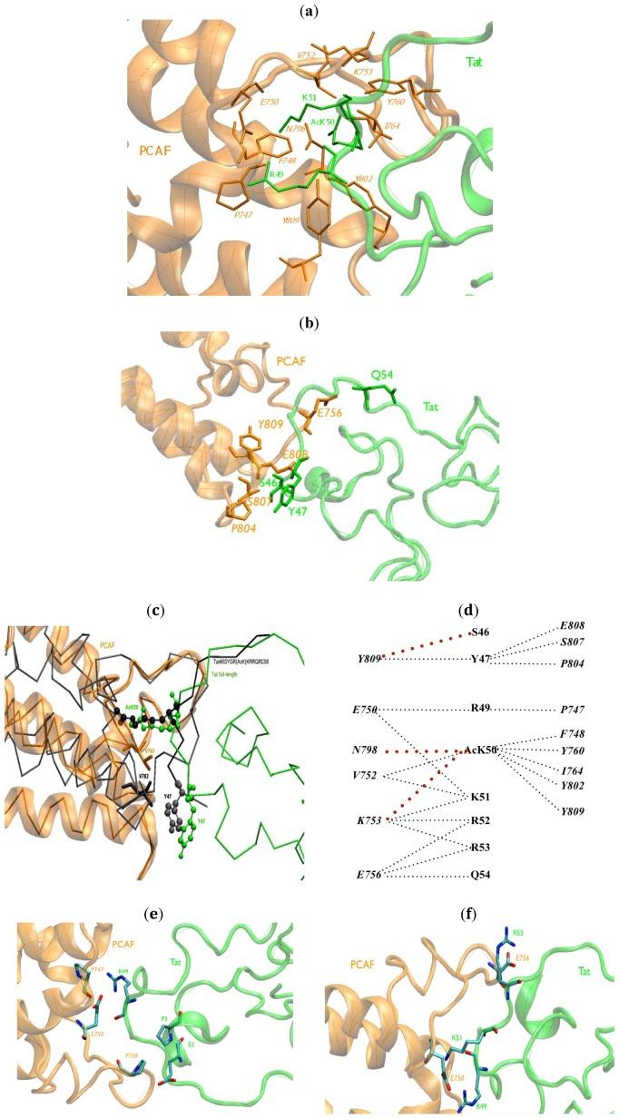 https://cdn.ncbi.nlm.nih.gov/pmc/blobs/1b3a/4009784/59954b48724f/biology-01-00277-g002.jpg