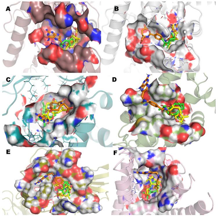 https://cdn.ncbi.nlm.nih.gov/pmc/blobs/1b3a/8588555/29cdd0ebdeb3/molecules-26-06646-g005.jpg