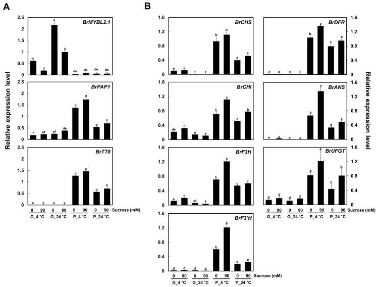 https://cdn.ncbi.nlm.nih.gov/pmc/blobs/1b3b/8949199/139f4e9bee97/ijms-23-03382-g002.jpg
