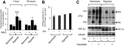 https://cdn.ncbi.nlm.nih.gov/pmc/blobs/1b3c/2606898/1cbaa1271633/zdb0010955760004.jpg