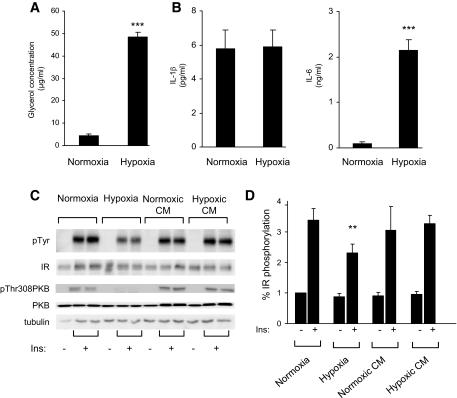 https://cdn.ncbi.nlm.nih.gov/pmc/blobs/1b3c/2606898/4ef5f26311c0/zdb0010955760005.jpg
