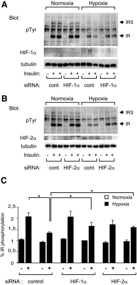 https://cdn.ncbi.nlm.nih.gov/pmc/blobs/1b3c/2606898/f727c92e86ca/zdb0010955760007.jpg