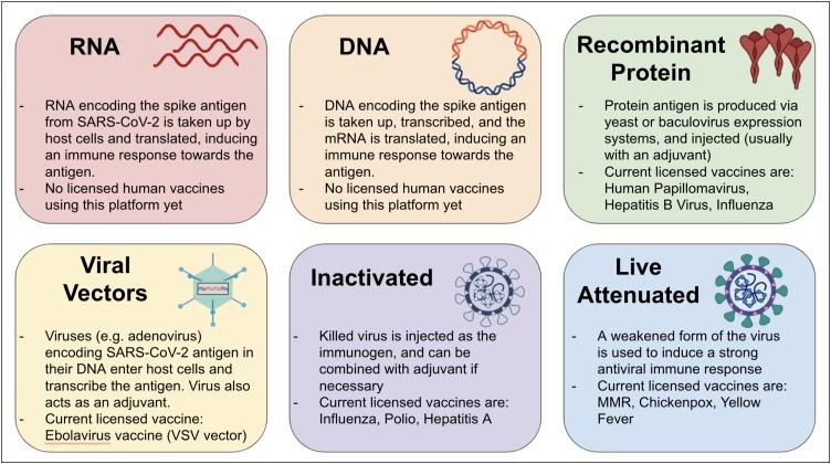 https://cdn.ncbi.nlm.nih.gov/pmc/blobs/1b3e/7784628/a39c25cc66ef/gr2.jpg