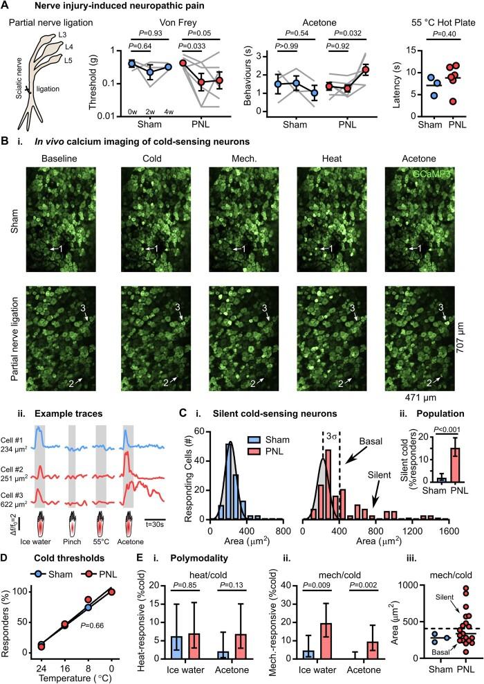 https://cdn.ncbi.nlm.nih.gov/pmc/blobs/1b3e/8320254/289abc86c23e/awab086f2.jpg