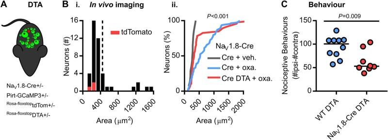 https://cdn.ncbi.nlm.nih.gov/pmc/blobs/1b3e/8320254/70b784d04547/awab086f5.jpg