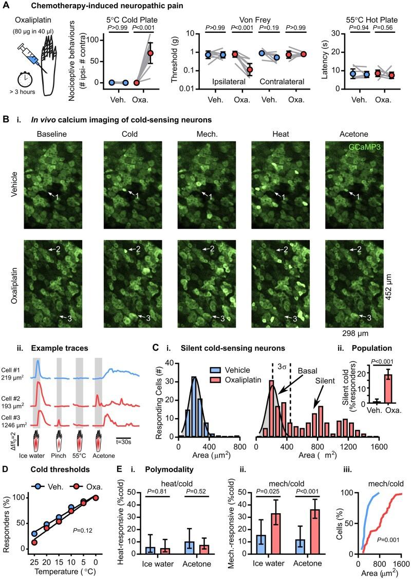 https://cdn.ncbi.nlm.nih.gov/pmc/blobs/1b3e/8320254/a4a6706697a6/awab086f1.jpg