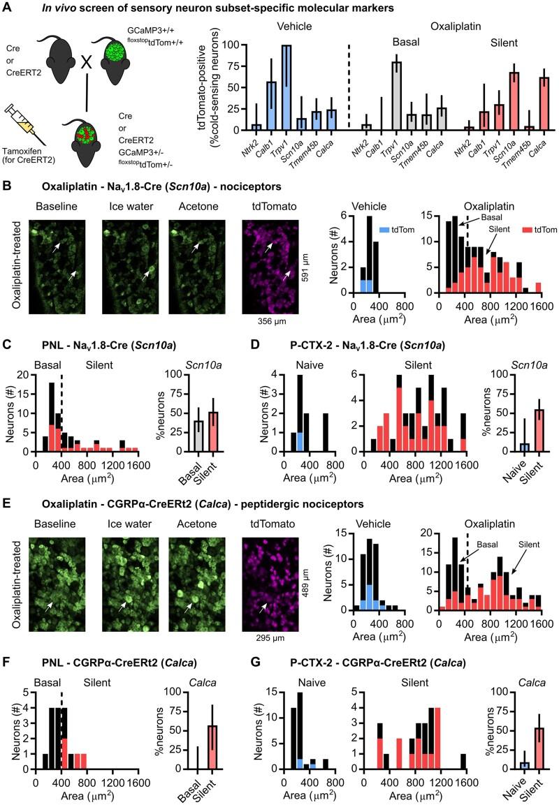 https://cdn.ncbi.nlm.nih.gov/pmc/blobs/1b3e/8320254/d6a2462c79f6/awab086f4.jpg