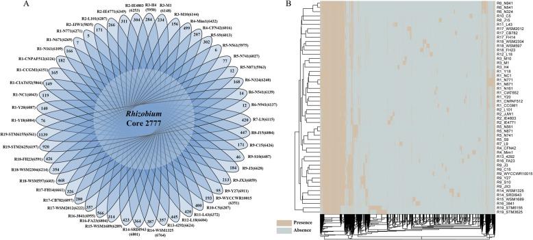 https://cdn.ncbi.nlm.nih.gov/pmc/blobs/1b3f/7047383/74b36238329b/12864_2020_6578_Fig1_HTML.jpg