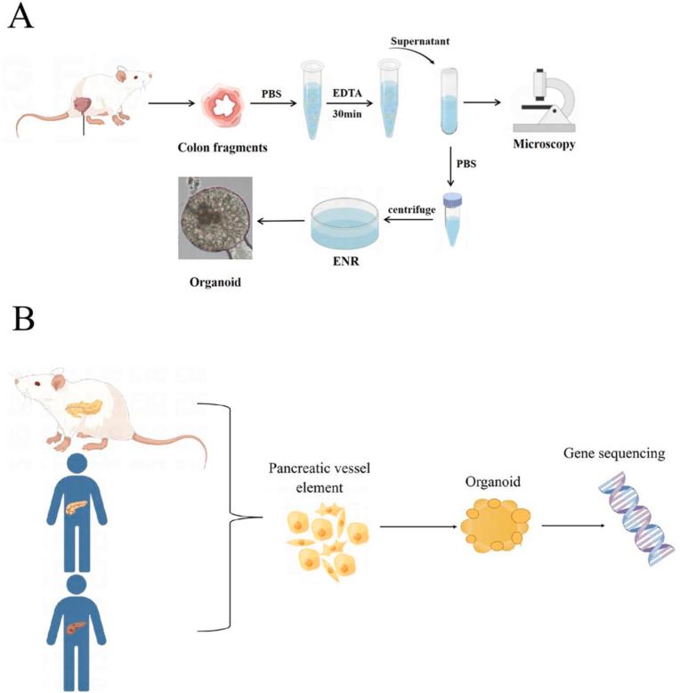 https://cdn.ncbi.nlm.nih.gov/pmc/blobs/1b40/10788409/66e956f8f567/gr2a.jpg