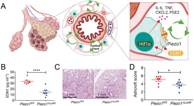 https://cdn.ncbi.nlm.nih.gov/pmc/blobs/1b40/12205964/23c554e3bc78/ABPID9-000009-021506_1-g005.jpg