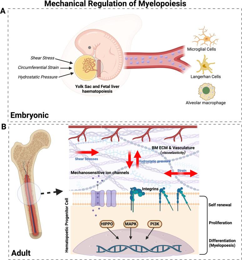 https://cdn.ncbi.nlm.nih.gov/pmc/blobs/1b40/12205964/f934b0356b5d/ABPID9-000009-021506_1-g001.jpg