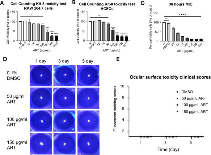 https://cdn.ncbi.nlm.nih.gov/pmc/blobs/1b40/12347252/9440a7ba4e1f/iovs-66-11-19-f001.jpg