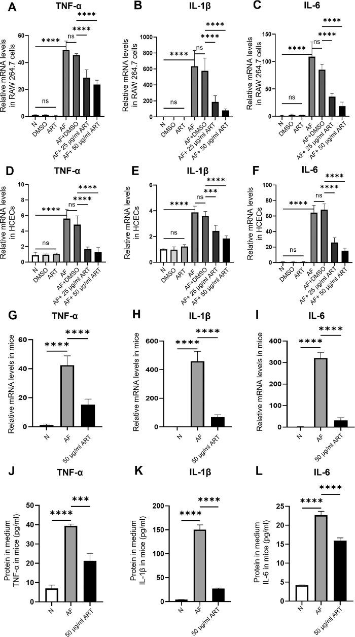 https://cdn.ncbi.nlm.nih.gov/pmc/blobs/1b40/12347252/be9886ef95ef/iovs-66-11-19-f004.jpg