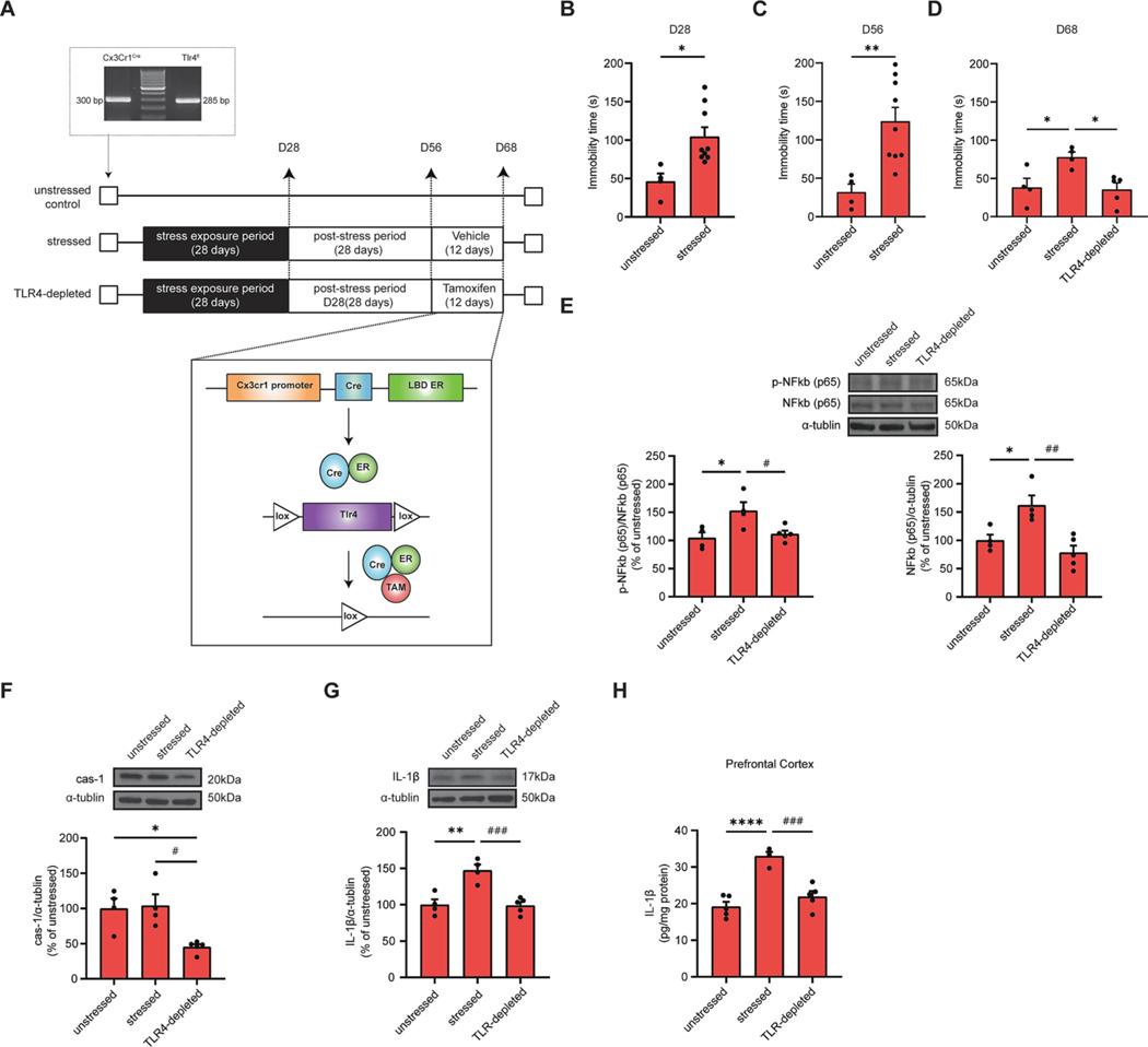 https://cdn.ncbi.nlm.nih.gov/pmc/blobs/1b43/11146676/ff4a304093f7/nihms-1990043-f0003.jpg