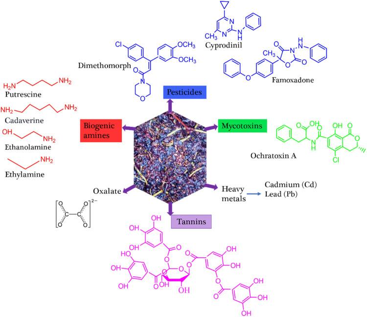 https://cdn.ncbi.nlm.nih.gov/pmc/blobs/1b43/12103188/153c42a33eba/j_biol-2025-1105-fig003.jpg