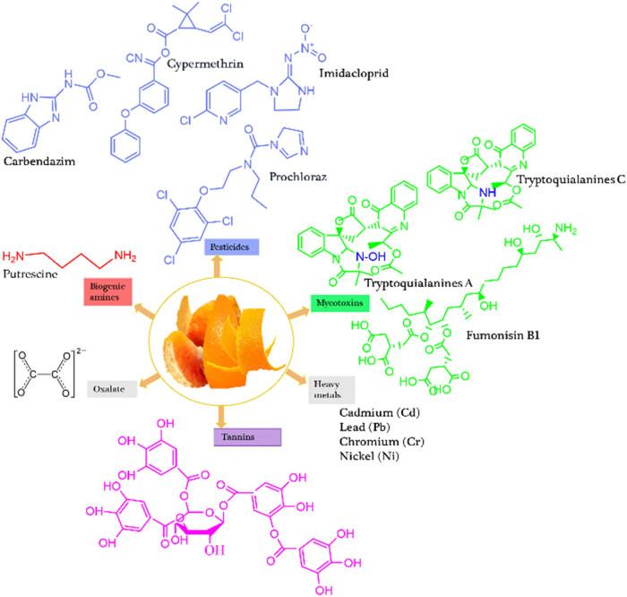 https://cdn.ncbi.nlm.nih.gov/pmc/blobs/1b43/12103188/2b5240d93a4b/j_biol-2025-1105-fig002.jpg