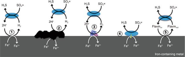 https://cdn.ncbi.nlm.nih.gov/pmc/blobs/1b45/10989807/c3826239394f/MLF2-1-13-g001.jpg