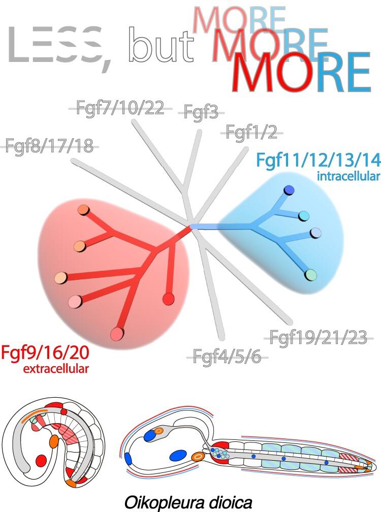 https://cdn.ncbi.nlm.nih.gov/pmc/blobs/1b48/11733497/7c0e7fa618c4/msae260_ga.jpg