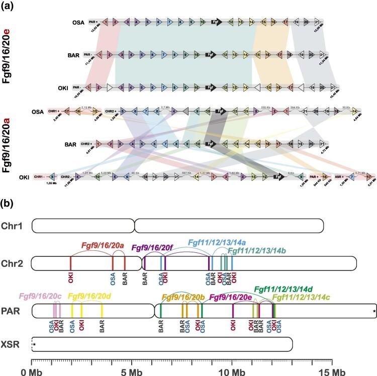 https://cdn.ncbi.nlm.nih.gov/pmc/blobs/1b48/11733497/c21534ef9223/msae260f2.jpg