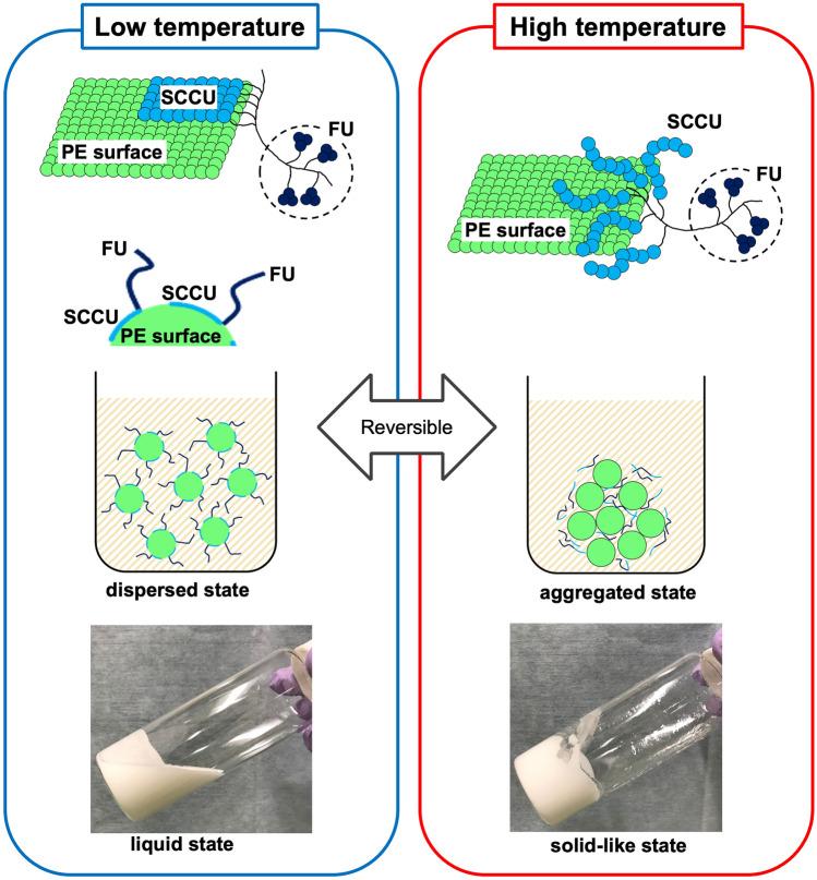 https://cdn.ncbi.nlm.nih.gov/pmc/blobs/1b48/9162979/b023ecc33c8b/11604_2021_1232_Fig1_HTML.jpg