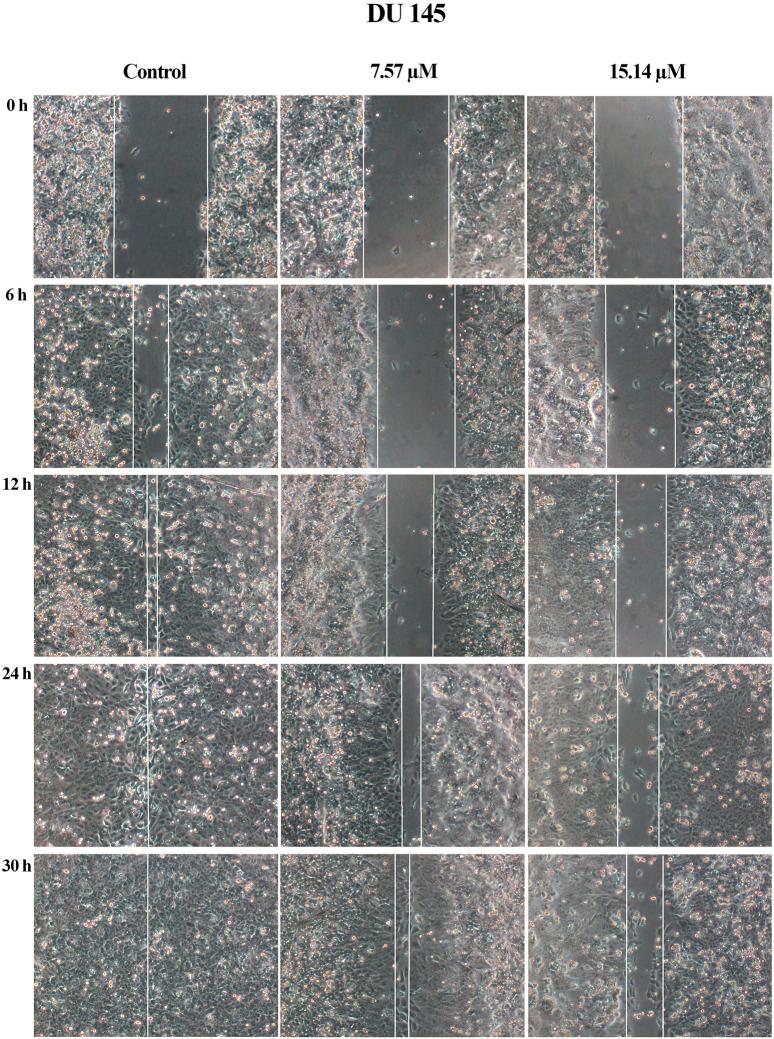 https://cdn.ncbi.nlm.nih.gov/pmc/blobs/1b49/8343533/b04b7b9b1e75/fphar-12-707335-g007.jpg