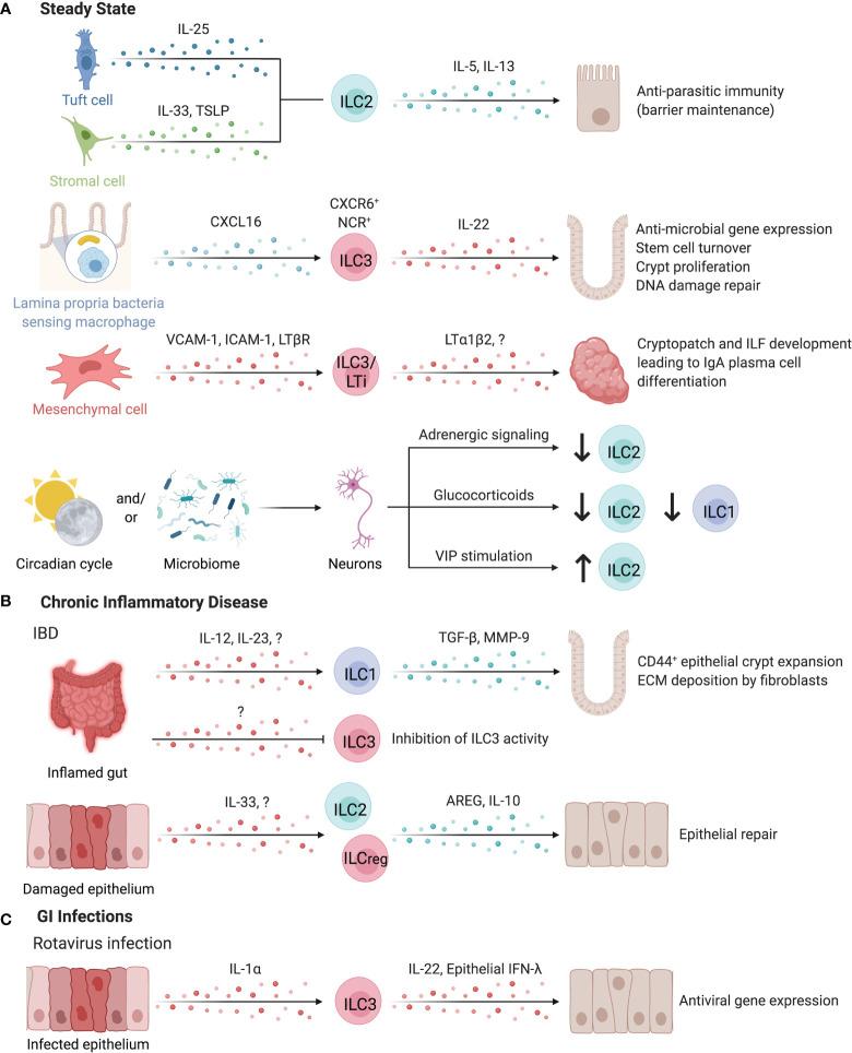 https://cdn.ncbi.nlm.nih.gov/pmc/blobs/1b49/8960279/4546b64b4ef0/fimmu-13-836999-g006.jpg