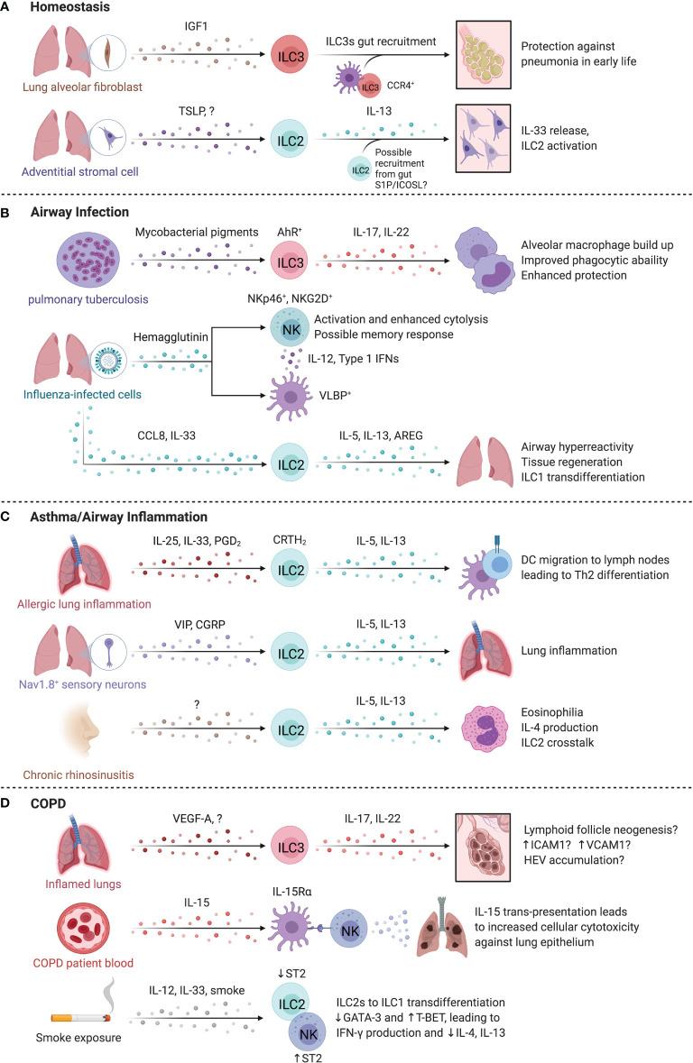 https://cdn.ncbi.nlm.nih.gov/pmc/blobs/1b49/8960279/9e6c0e6b88be/fimmu-13-836999-g004.jpg