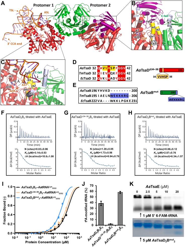 https://cdn.ncbi.nlm.nih.gov/pmc/blobs/1b4a/11648230/8b31977072e3/gr3.jpg