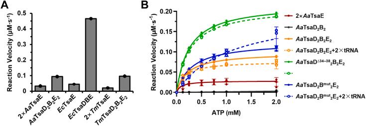 https://cdn.ncbi.nlm.nih.gov/pmc/blobs/1b4a/11648230/d3fdacee167c/gr4.jpg